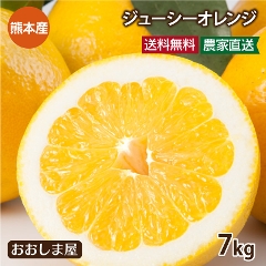 河内晩柑 （ジューシーオレンジ） 7kg 送料無料　4月上旬より順次出荷
